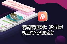 泡泡聊天群人数上限多少